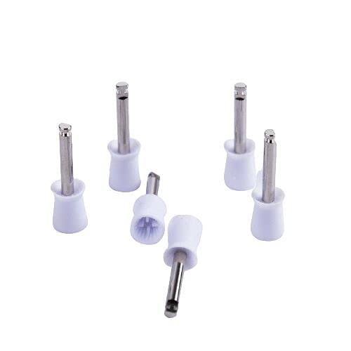 Gold Cura latch-type rubber prophy polishing cups for stain removal