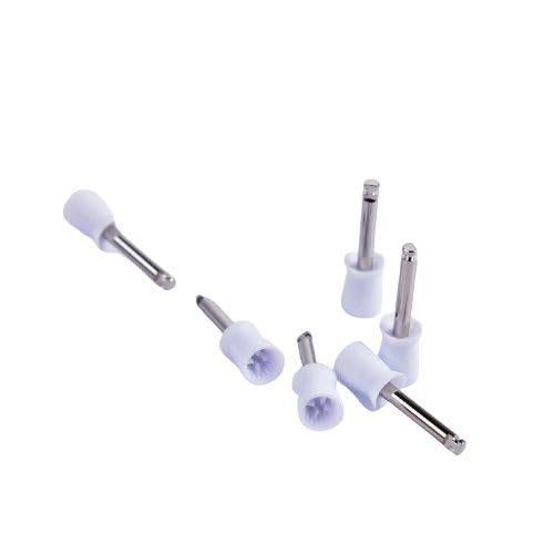 Gold Cura Prophy Polishing Cups | Latch-Type Stain-Removal Cups for Dental Clinics