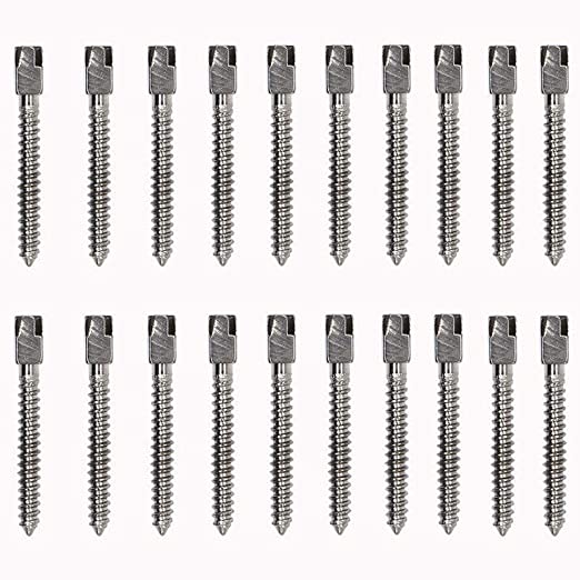 Gold Cura Screw Post kit contents - dental endodontic accessories India